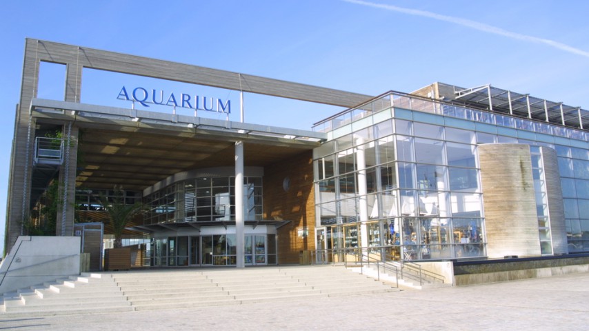 Image de présentation de l'établissement AQUARIUM LA ROCHELLE — Batiment Aquarium ©AquariumLaRochelleSAS.jpg