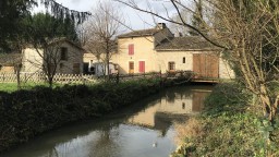 Image de présentation de l'établissement Gîte n° 1121le Moulin de Preuillé — IMG_0302.JPG
