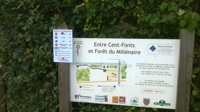 __Image de présentation de l'établissement Sentier entre Cent Fonts et Forêt du Millénaire — Sentier 3
