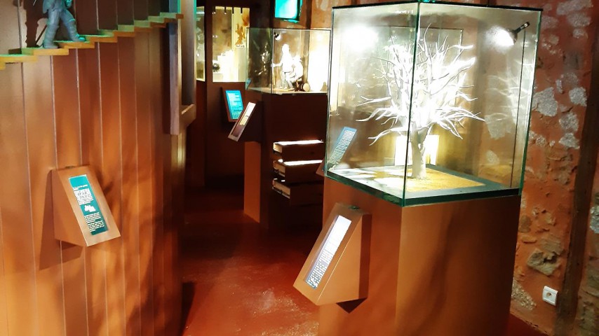 Image de présentation de l'établissement Musée de la Châtaigne — salle exposition-musee chataigne