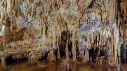 Image de présentation de l'établissement La Grotte de Domme — qt225526_2022-09-30-07-07-51.jpg