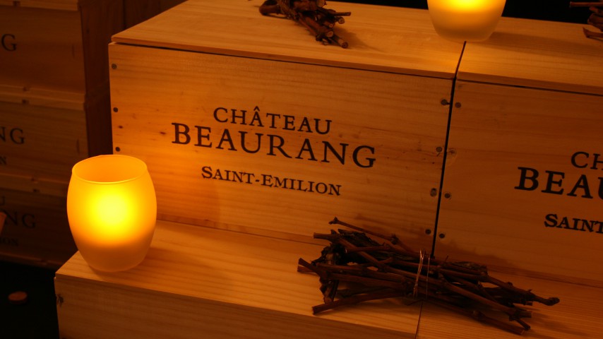 Image de présentation de l'établissement Château Beaurang - Scea Vignobles Puyol — th208405_2022-02-02-09-21-16.JPG