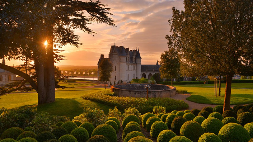 Image de présentation de l'établissement Château Royal d'Amboise — th212267_2022-06-21-14-19-27.jpg