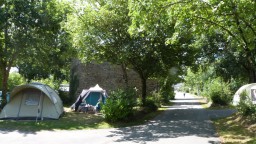 Image de présentation de l'établissement Camping  Municipal Vitré — allée et emplacements camping Vitré.JPG