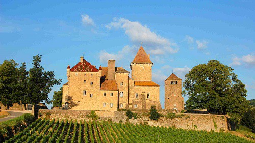 __Image de présentation de l'établissement Château de Pierreclos — qt168868_2021-07-04-14-09-36.jpg