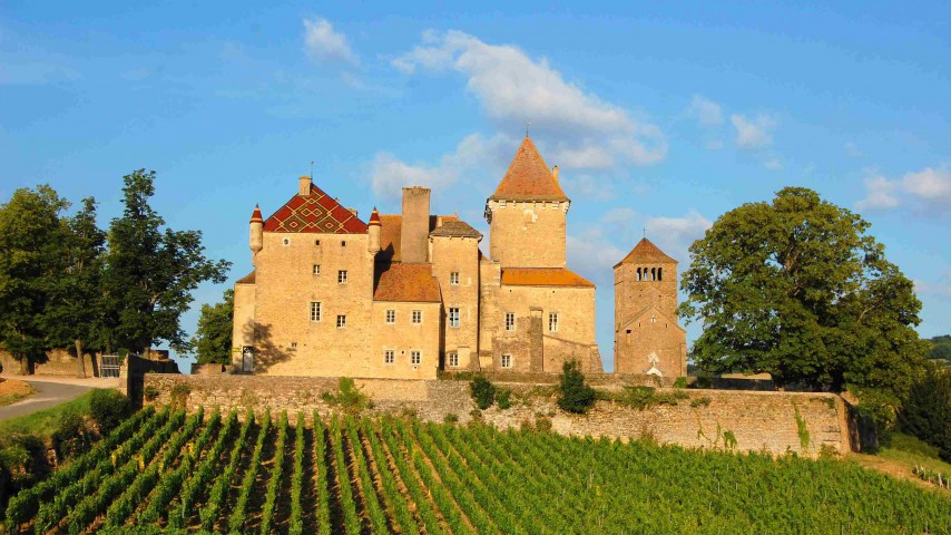 __Image de présentation de l'établissement Château de Pierreclos — qt168868_2021-06-29-15-53-19.jpg