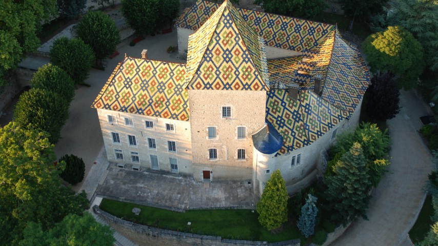 Image de présentation de l'établissement Le Château de Santenay — qt159469_2021-04-15-21-38-21.jpg