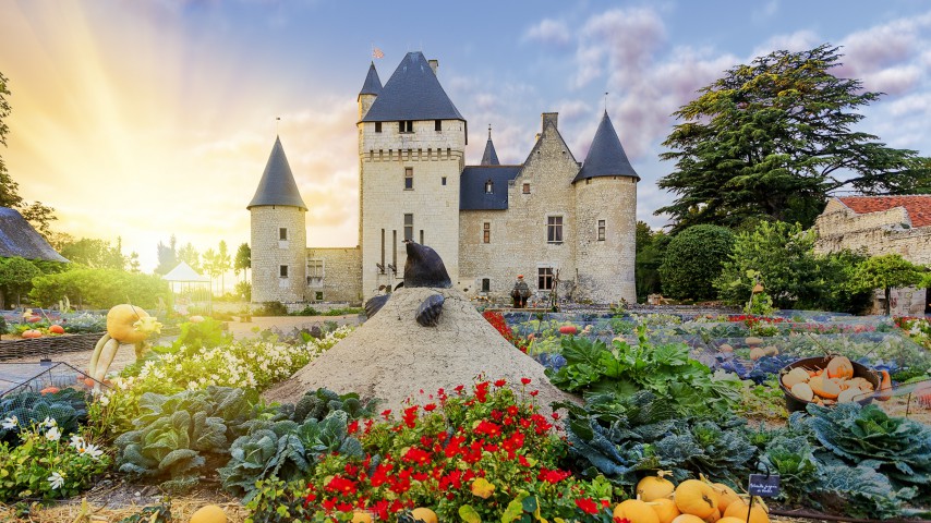 Image de présentation de l'établissement Château et Jardin du Rivau — th213318_2022-02-02-11-08-38.jpg