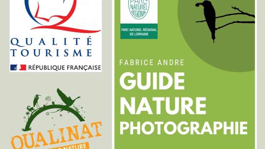 __Image de présentation de l'établissement Fabrice André, guide nature photographe — qt225135_2022-10-02-12-55-34.png