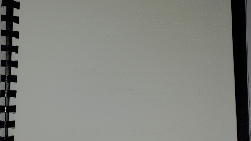 Image de présentation de l'établissement Restaurant Les Mouettes — menu en braille