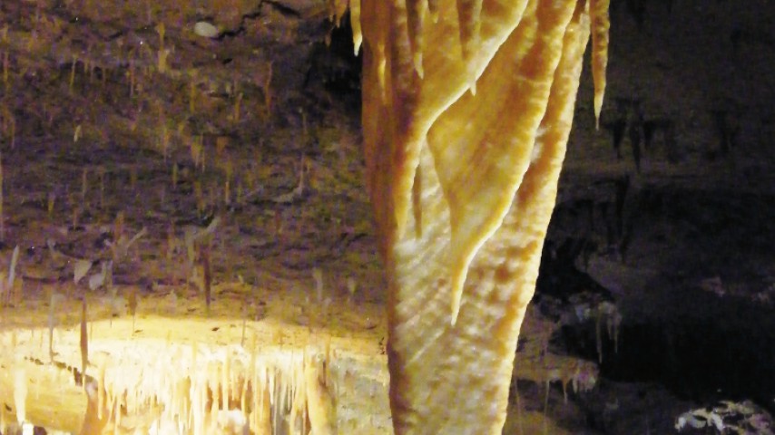 __Image de présentation de l'établissement Grotte de Tourtoirac — DRAPERIE.png
